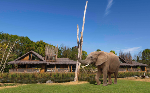 West Midland Safari Park